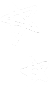 star icon